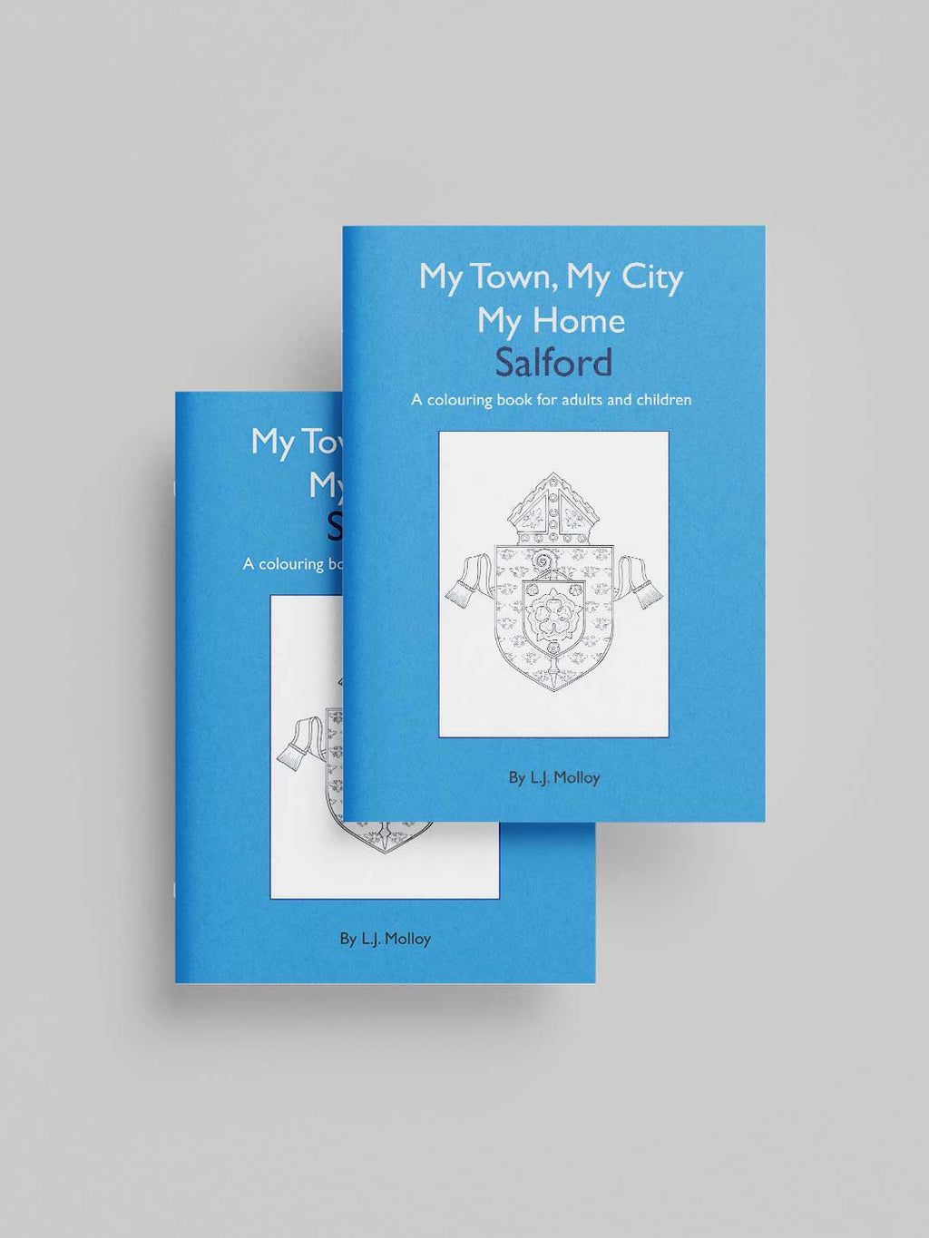 Salford Loose Leaf Folders